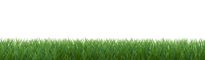 Fototapeta premium Green Grass Border Isolated White