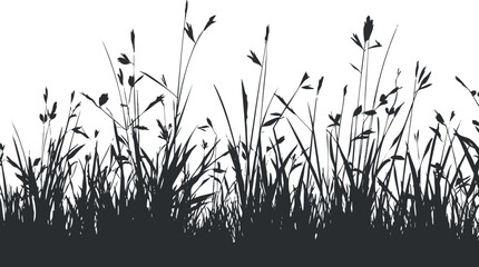 Silhouette of wild grasses and plants on a white background, ideal for nature-themed designs.