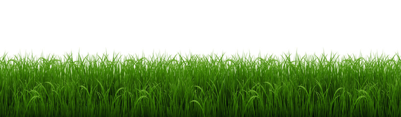 Green Grass Border With Isolated White Poster