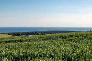 Farmland in rural Sussex with the coast in the distance behind, at Woodingdean