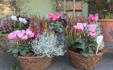 Potted Flowers on Terrace — Decorative Plants in Wicker Baskets for Outdoor Garden Design