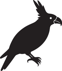 Black parrot bird profile silhouette white background
