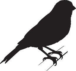 Black silhouette of a small bird perched on thin branches