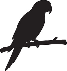 Silhouette parrot perched on branch bird