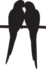 Two parrots perched together silhouette birds