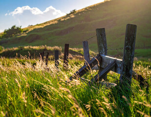 Broken Wooden Fence on a Grassy Hill at Sunset