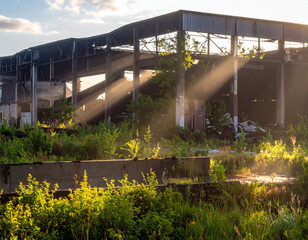 Golden Light on a Derelict Warehouse with Overgrowth