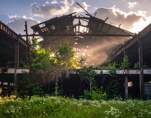Mist-Filled Ruined Warehouse with Overgrowth