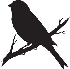 Black silhouette of a bird perched on a branch white
