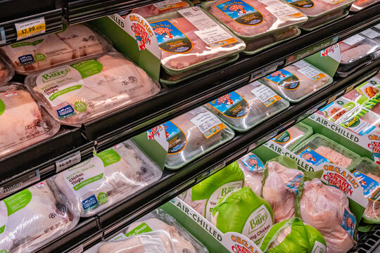 August 27, 2025-Ketchum, ID, US - Various packages of chicken or poultry on display in grocery store-supermarket refrigerator case.