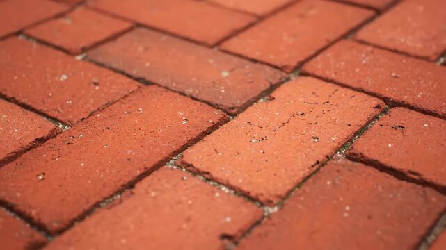 Red Brick Pavement - This close-up shot features a section of a paved area constructed from red bricks. The bricks are arranged in a herringbone pattern with narrow grout lines.