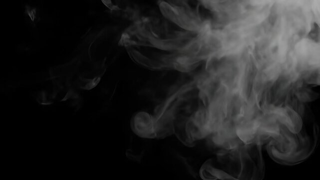 Ethereal Smoke on Black Background - A dynamic plume of white smoke is captured against a stark black backdrop. The billowing smoke creates a mesmerizing and abstract display of density and movement.