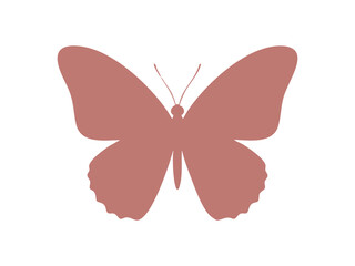 butterfly vector illustration