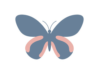 butterfly on white background