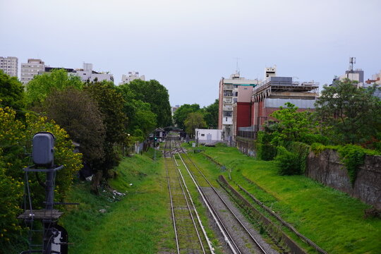 Railway tracks running beside a white church with a dome in a lush green urban area. Palm trees, ivy-covered walls, and city buildings in the background under a cloudy sky in Buenos Aires.
