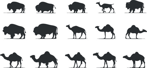 Obraz premium Silhouettes of bison and camels in various poses on a white background.