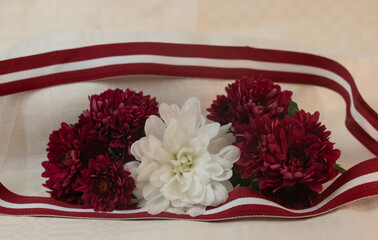 Red-white-red ribbon in the colours of the Latvian national flag. Independence Day in November.