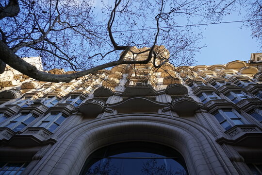 Low-angle view of an ornate historic building with detailed architecture and balconies, framed by bare tree branches under a clear blue sky in the city center.
