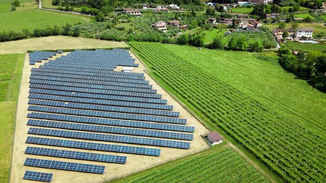 PV panel rows on gently sloped terrain, vineyards surrounding the site, captured by drone. Energy transition pathway in the European countryside.