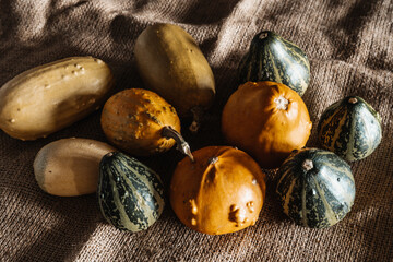 Yellow & Green Mini Decorative Pumpkins
