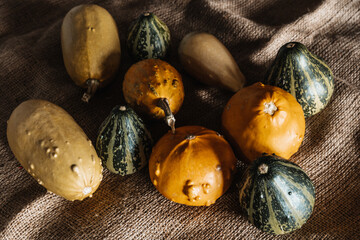 Yellow & Green Mini Decorative Pumpkins