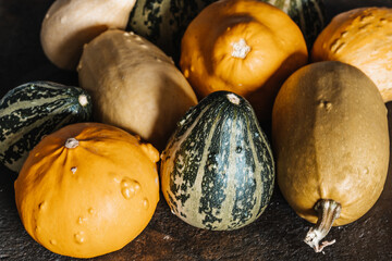 Yellow & Green Mini Decorative Pumpkins