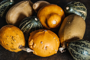 Yellow & Green Mini Decorative Pumpkins