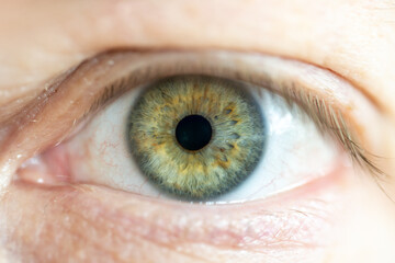 Male Green Colored Eye with Yellow Pigment Spots and Lashes. Pupil Opened. Close Up. Structural Anatomy. Human Iris Macro Detail.