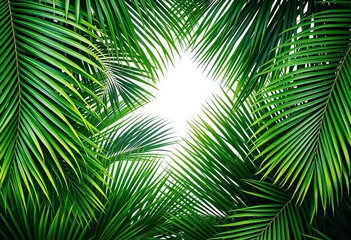  Lush green palm leaves form a vibrant, natural frame,  natural frame,  palm frond