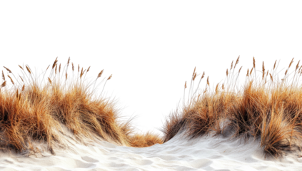 Sandy dunes with golden beach grass against a dark void background