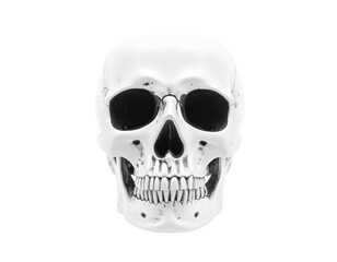 Fototapeta premium human skull isolated on white