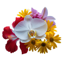 Vibrant tropical flower arrangement Transparent Background white orchid red hibiscus yellow daisies