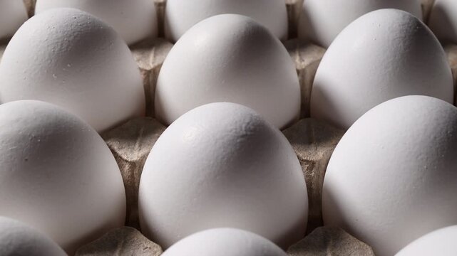 Side view of white eggs arranged in carton tray. Smooth lateral camera movement across rows of fresh eggs showing food ingredient, farm production and breakfast protein concept