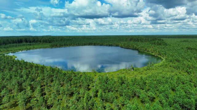 Latvian Swamps Landscape with Lake and Forest