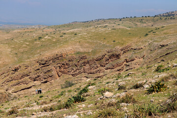 Ajloun, Jordan : Wadi al-Rashrash - among mountains (The road leading to Al-Rashrash Waterfall)