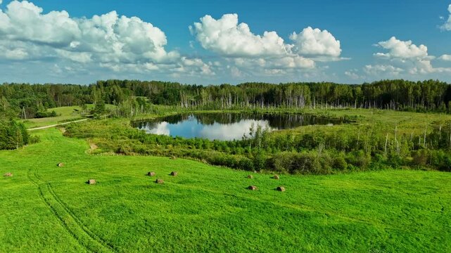 Latvian Swamps reflecting Sky and Forest Trees