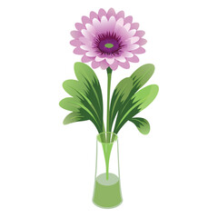 Pink gerbera and chrysanthemum flowers in a vase on a white background