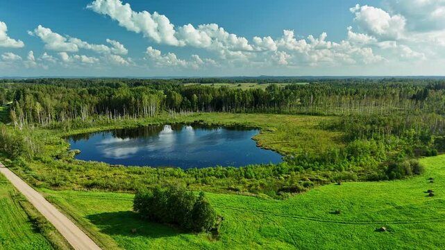 Aerial View of Latvian Swamps and Forests