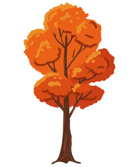 árbol secándose en otoño con tonos naranjas