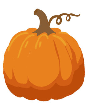 Calabaza simple en tonos calidos