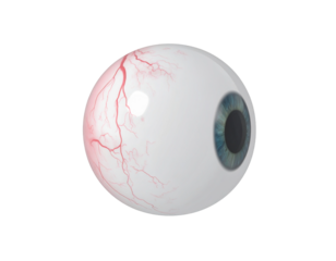 eye ball isolated on white background