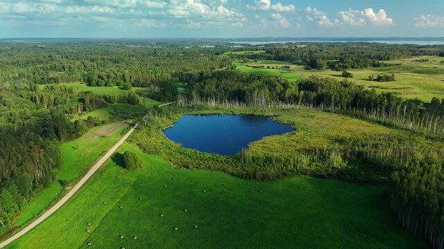 Aerial view of the Latvian swamps landscape