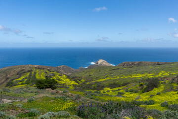 View from Pedregal Viewpoint in Porto Santo, Portugal