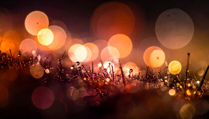 Blurred lights creating bokeh effect over dew covered grass at twilight