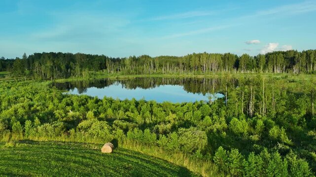 Latvian Swamps, Aerial View of Forest Lake