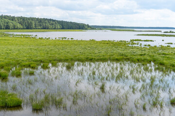 Engure Lake Nature Park in Latvia
