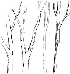 Fototapeta premium Black and white line drawing of four tree trunks bark texture branches