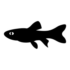 Vibrant endler's livebearer fish vector illustration for aquatic pet enthusiasts and educational content scalable graphics silhouette
