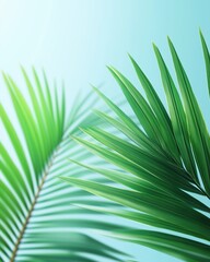 Green tropical palm leaves with shadows on light blue background