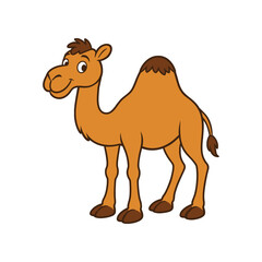 camels in the desert